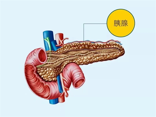 【世界胰腺癌日】關(guān)注胰腺癌，讓愛看得見